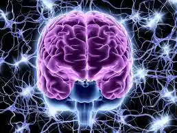 MemoryFuel mental clarity support result 1